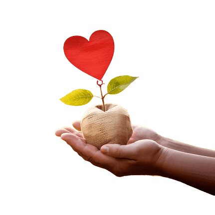 Hands holding a growing plant with a heart, symbolizing support for children with developmental disabilities